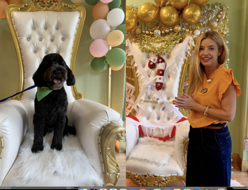 El Negocio Perfecto para Amantes de las Mascotas